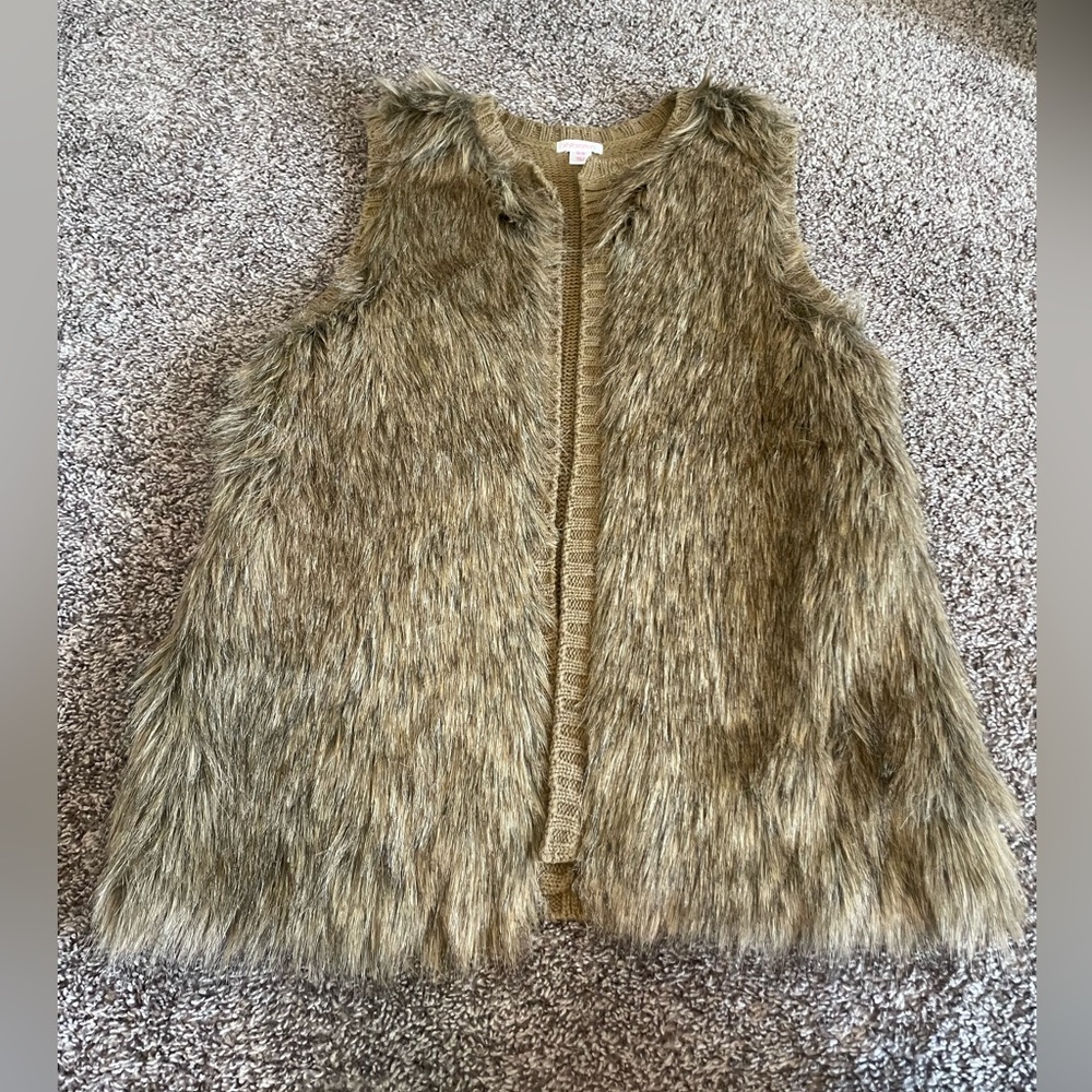 Faux Fur Vest in Brown